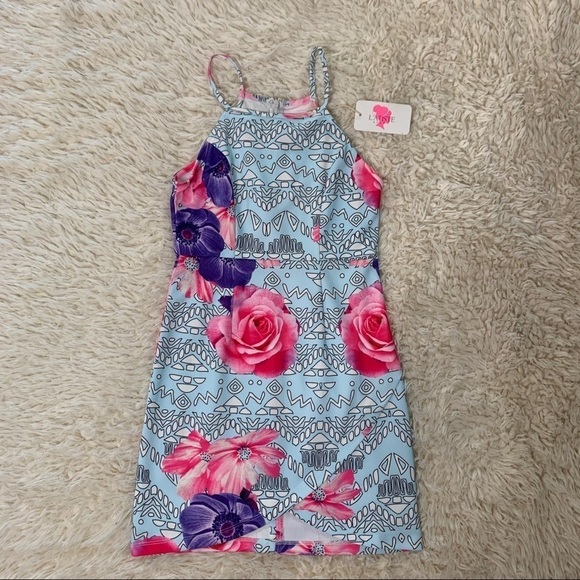 L’atiste By Amy NWT Dress Blue Pink Floral Dress - Picture 2 of 11